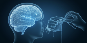 손 운동 치매 예방, 소근육 뇌 활성화, 제2의 뇌, 손가락 체조 루틴, 정교한 손 운동, 뜨개질 뇌 건강, 신경 가소성, 호문쿨루스, 인지 기능 강화, 악기 연주 효과